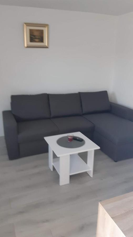 Apartman Abramovic Topusko Exterior photo